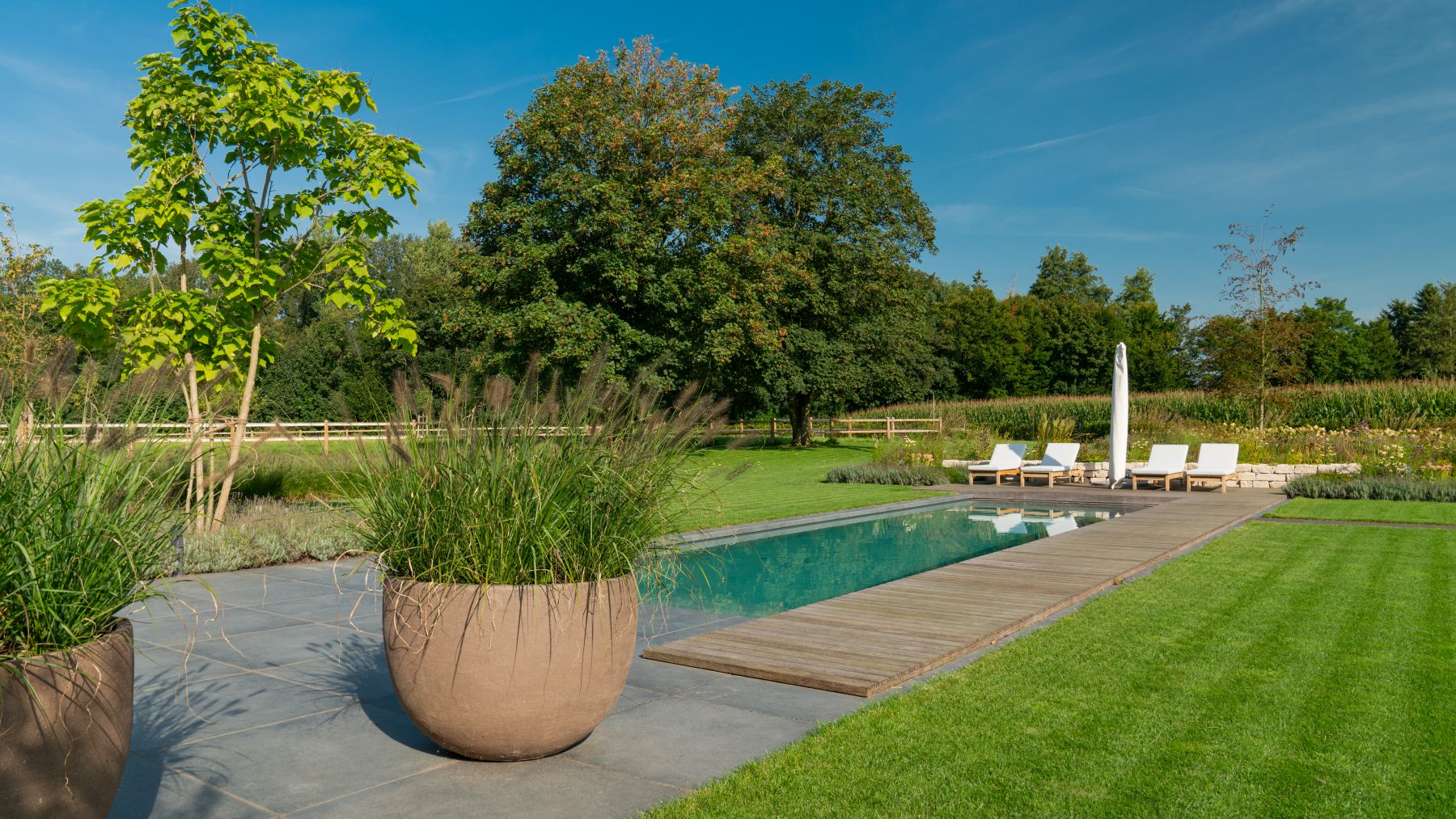 8.2 Luxuriöser Minimalismus mit Pool in der modernen Landhausidylle in Bocholt