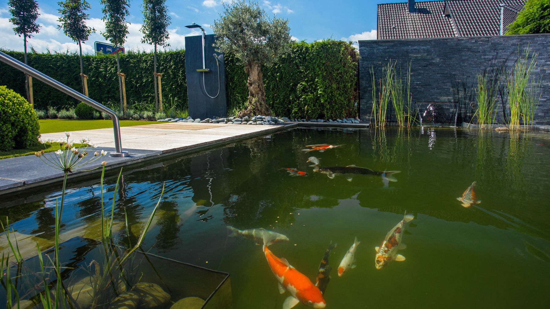 1.16 Wasser im Mittelpunkt - Garten mit Naturschwimmteich in Merhoog