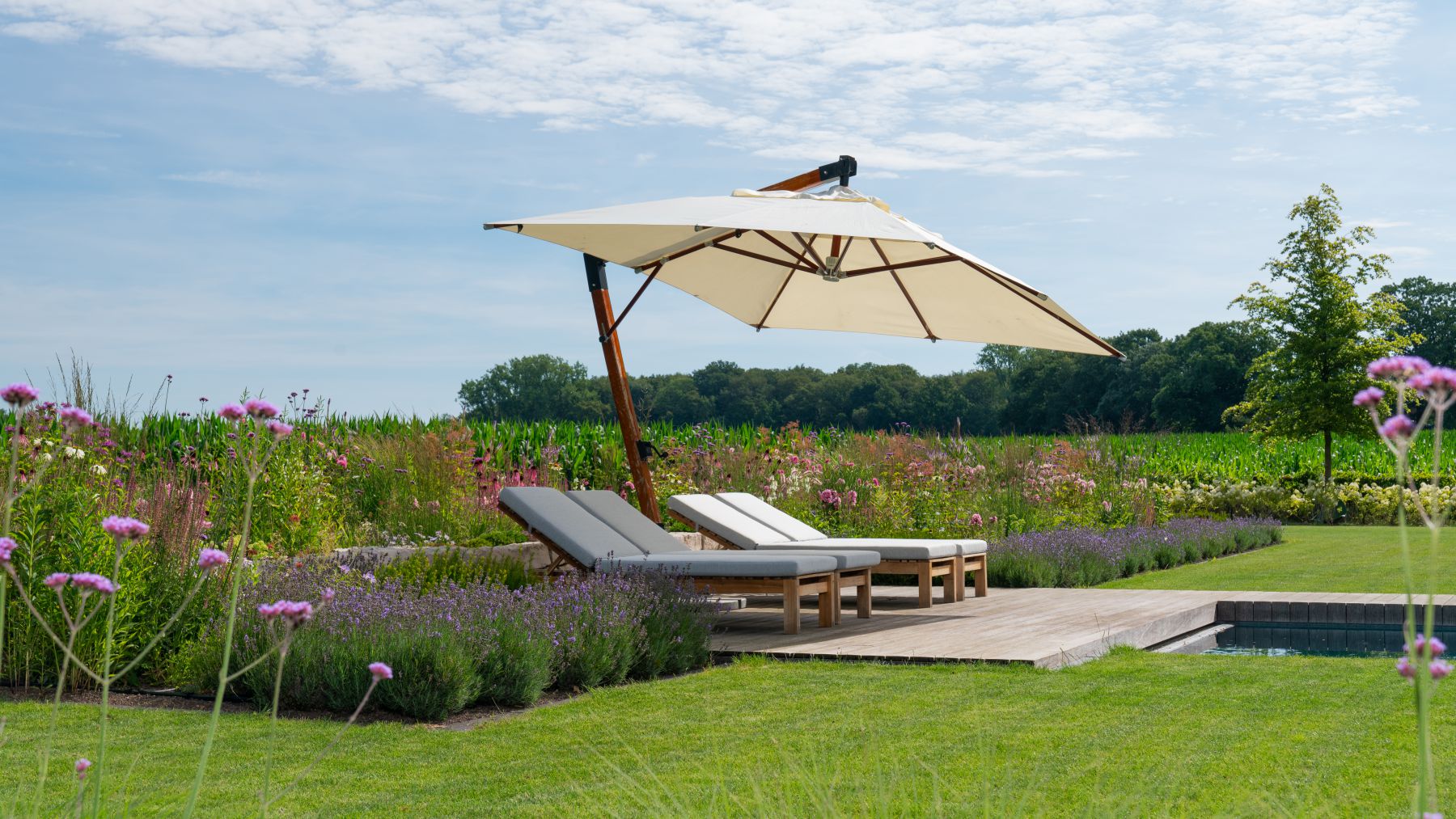 8.2 Luxuriöser Minimalismus mit Pool in der modernen Landhausidylle in Bocholt