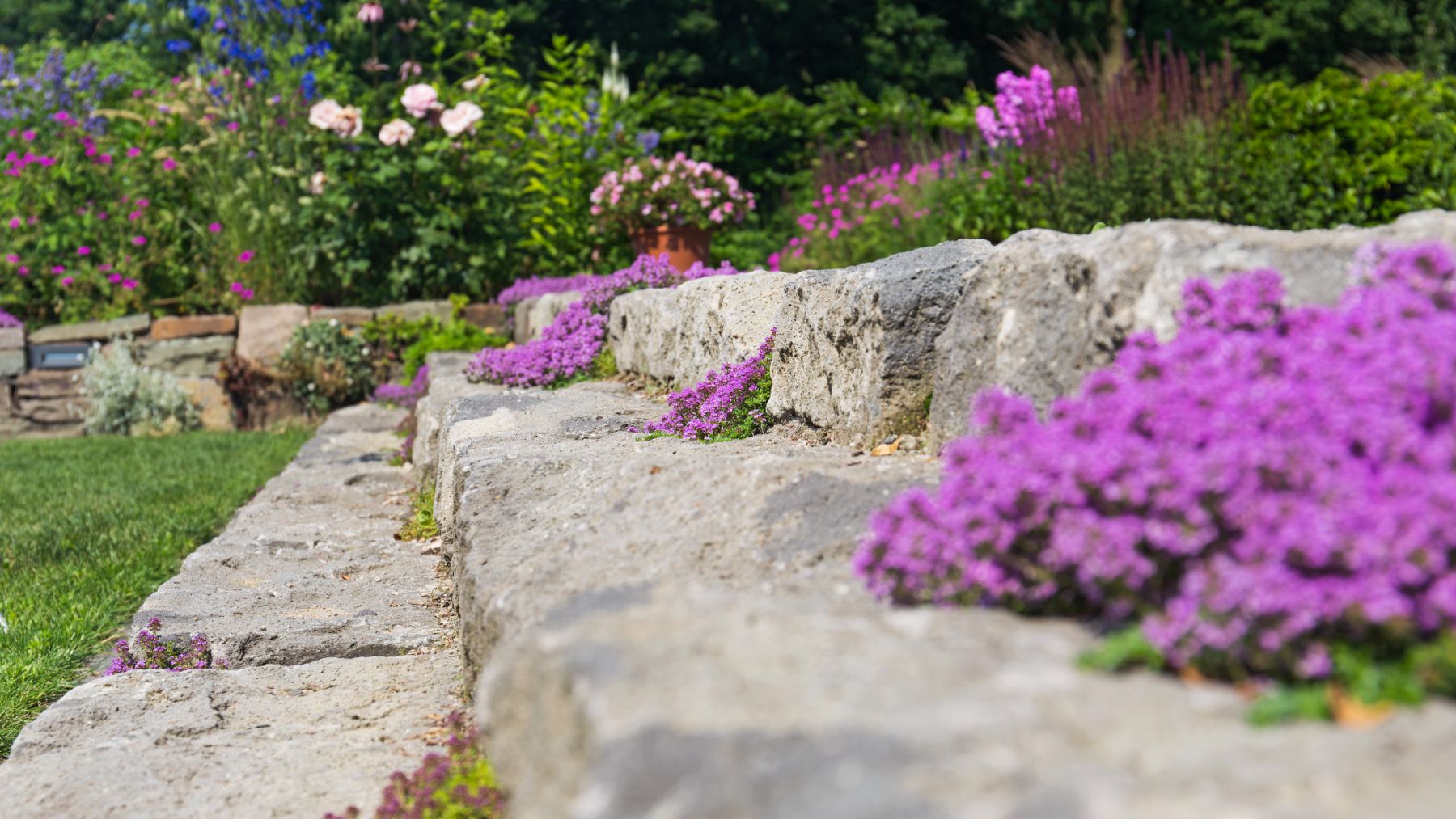 2.1 Ein Blumenmeer lädt zum Verweilen ein - Familiengarten in Bocholt