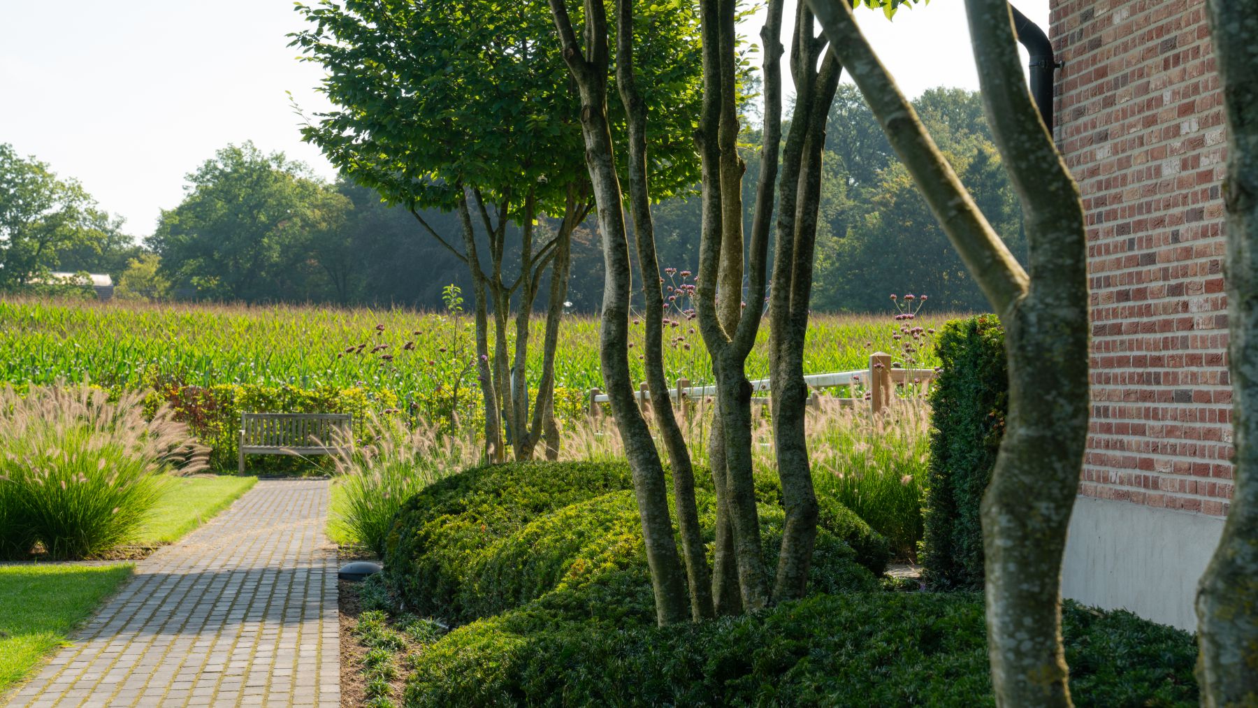 8.2 Luxuriöser Minimalismus mit Pool in der modernen Landhausidylle in Bocholt