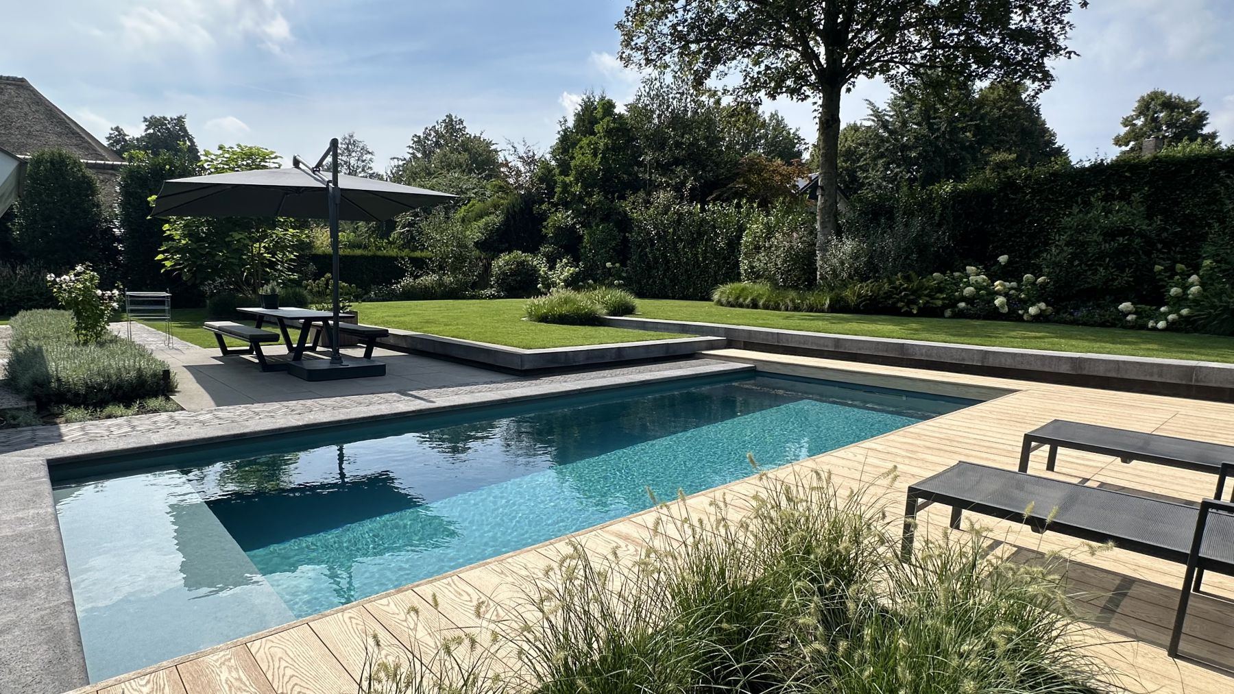 8.1 Chemiefreier Biotop Naturpool Garten mit modernen Linien in Lochem (NL)