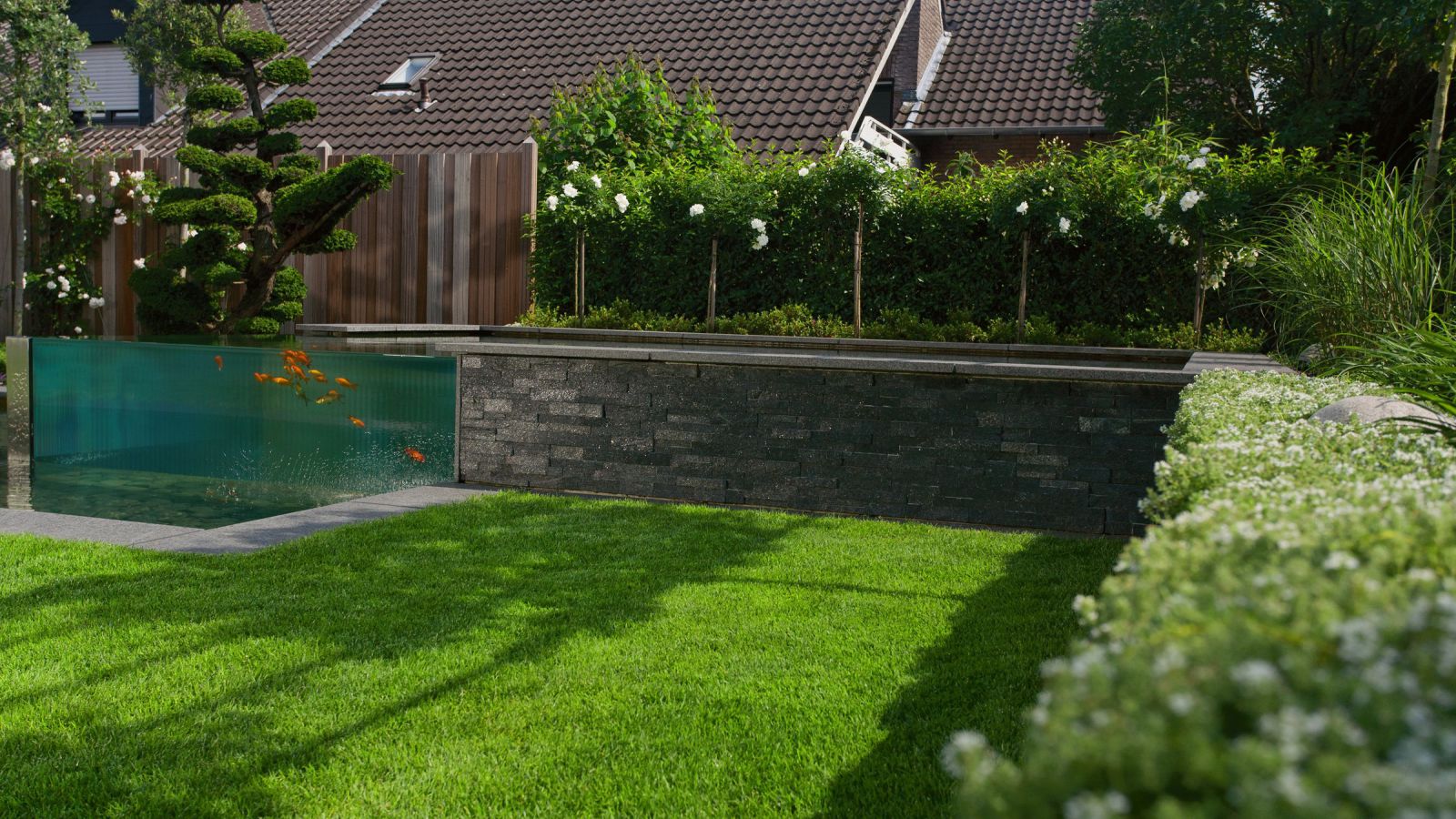 46+ Stützmauer Im Koi Teich, Die anlage eines gartenteichs für kois