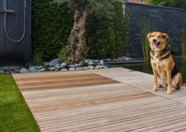 1.16 Wasser im Mittelpunkt - Garten mit Naturschwimmteich in Merhoog