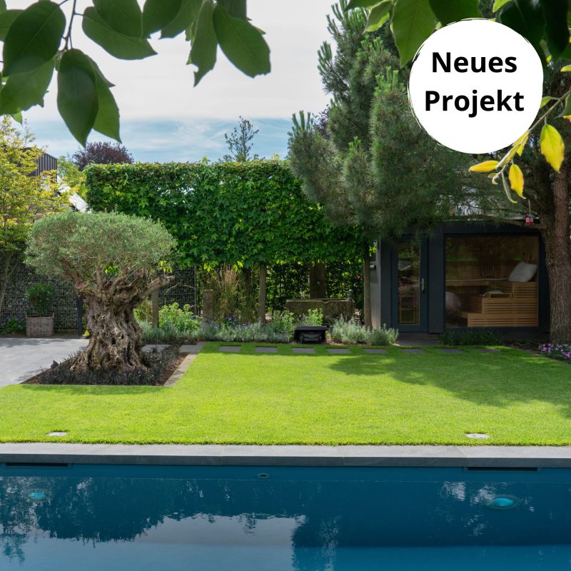 8.3 Harmonischer Garten mit Pool und Sauna für erholsame Momente in Borken