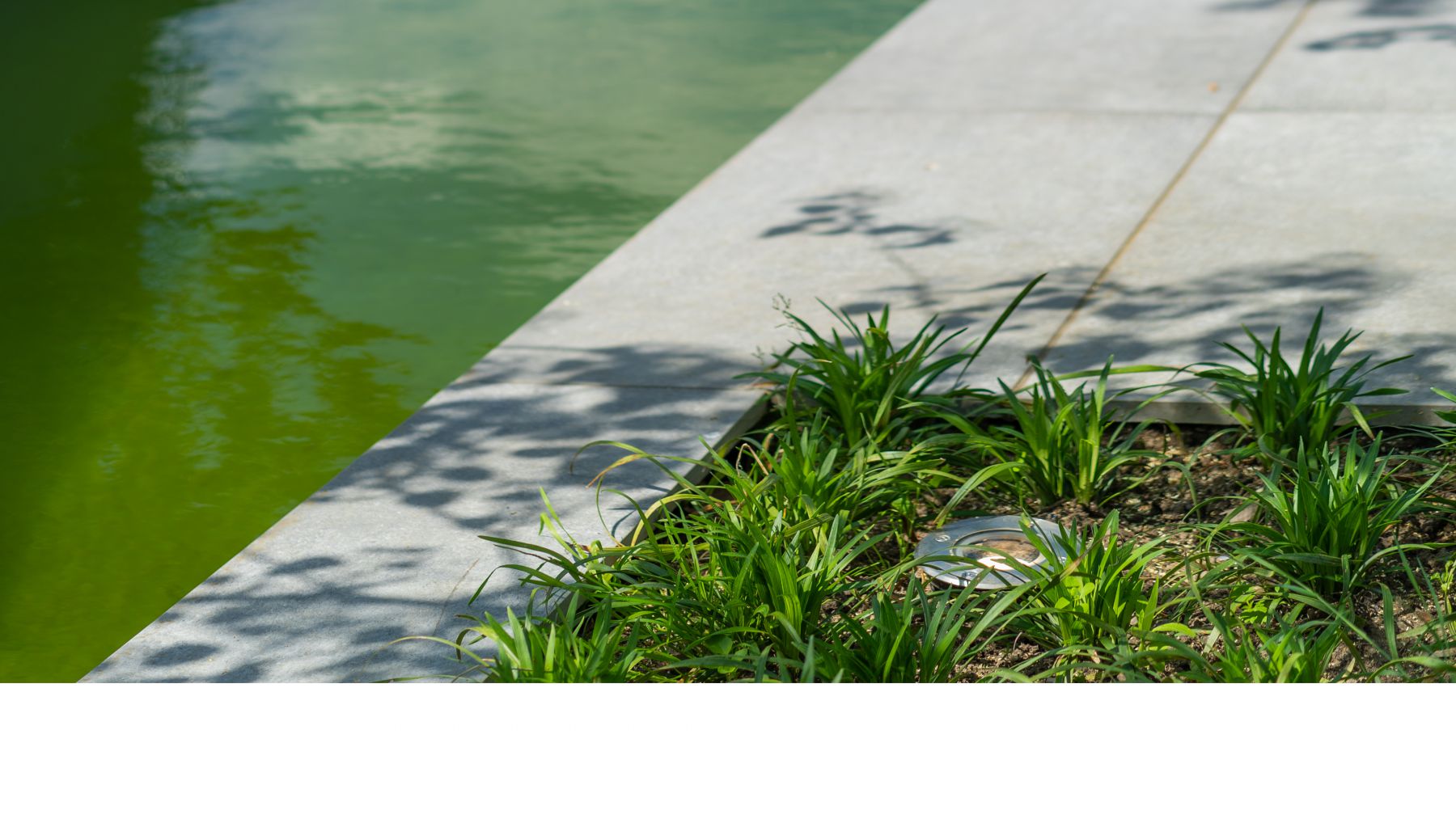 1.7 Lebendiges Grün und elegantes Grau - Designgarten mit Pool in Rhede