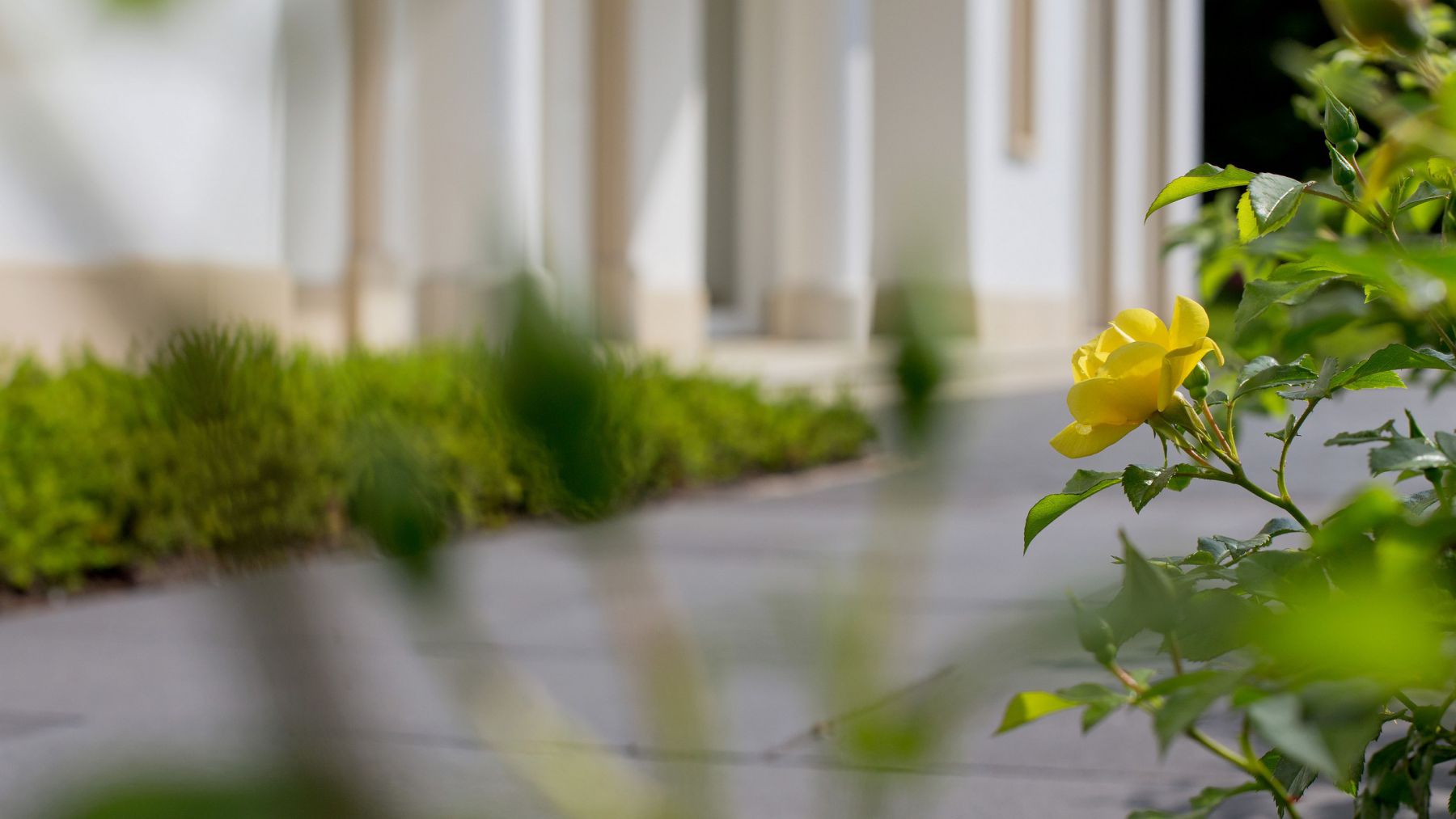 1.9 Klassisch eleganter Villengarten in Dortmund