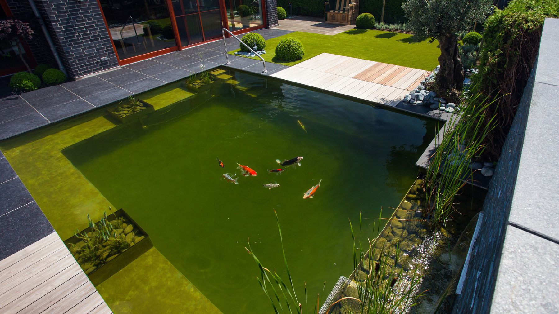 1.16 Wasser im Mittelpunkt - Garten mit Naturschwimmteich in Merhoog