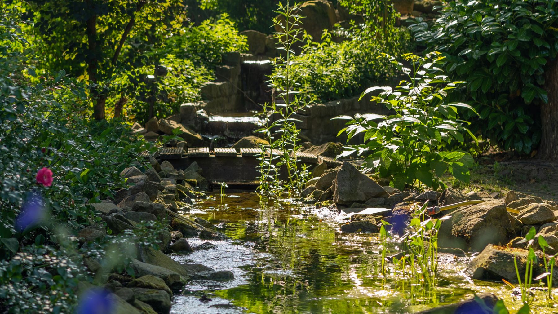 2.2 Alle Elemente in großer Geste vereint - weitläufiger Naturgarten in Bocholt