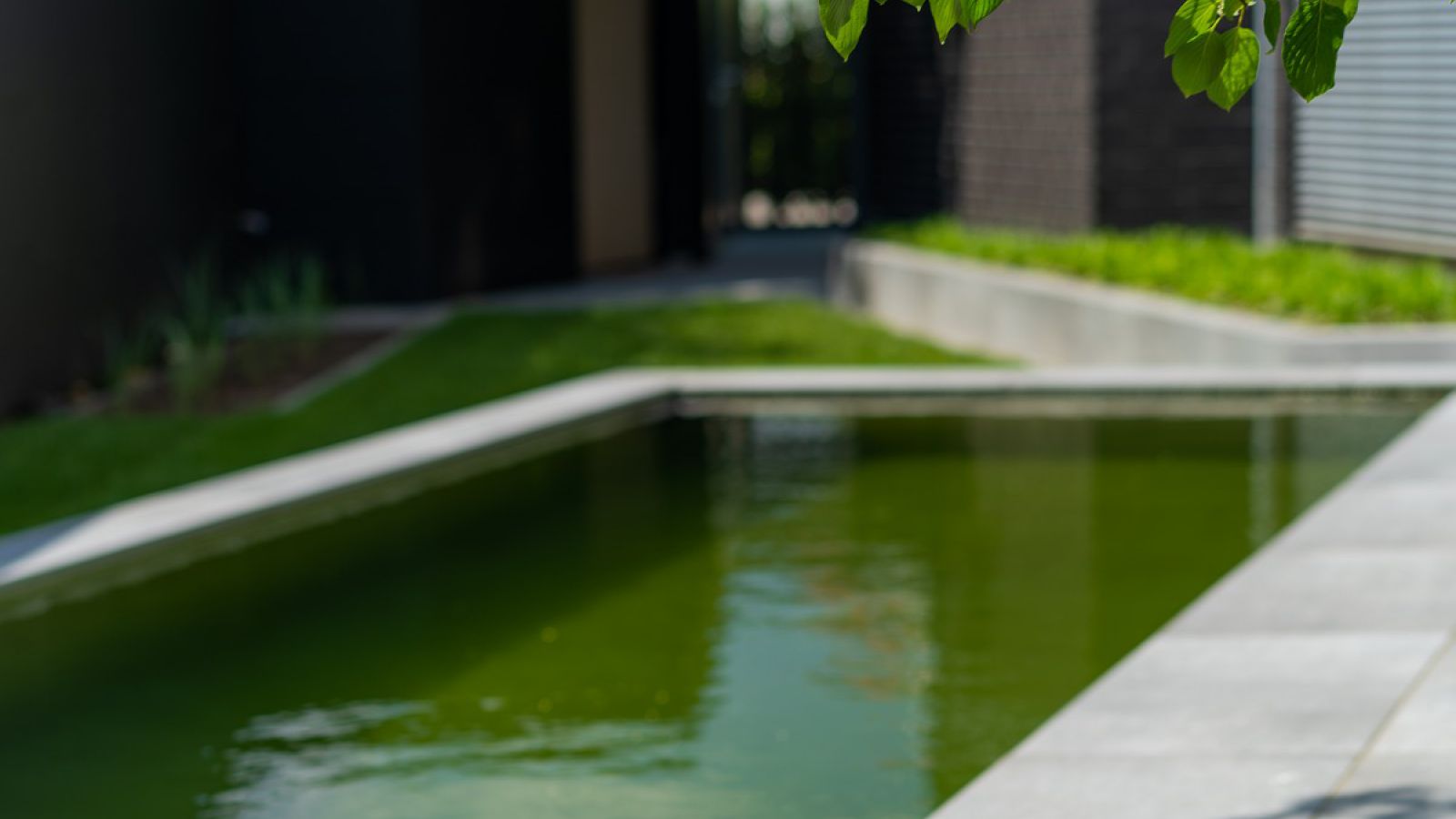 1.7 Lebendiges Grün und elegantes Grau - Designgarten mit Pool in Rhede