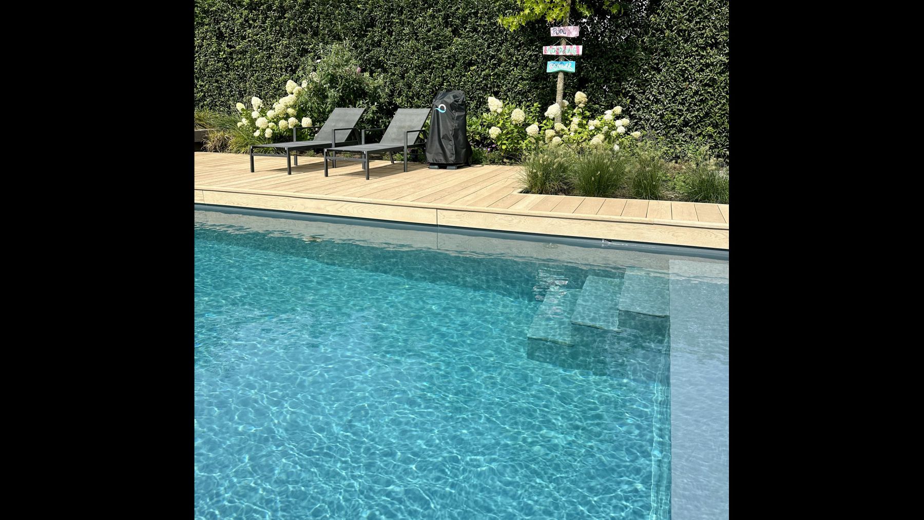 8.1 Chemiefreier Biotop Naturpool Garten mit modernen Linien in Lochem (NL)
