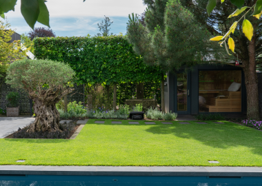 8.3 Harmonischer Garten mit Pool und Sauna für erholsame Momente in Borken